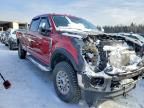 2020 Ford F350 Super Duty