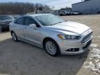 2013 Ford Fusion Titanium Phev