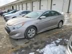 2011 Hyundai Sonata Hybrid