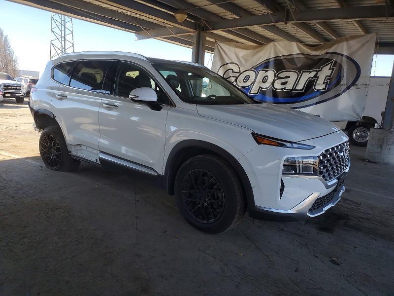 2023 Hyundai Santa fe sel Premium