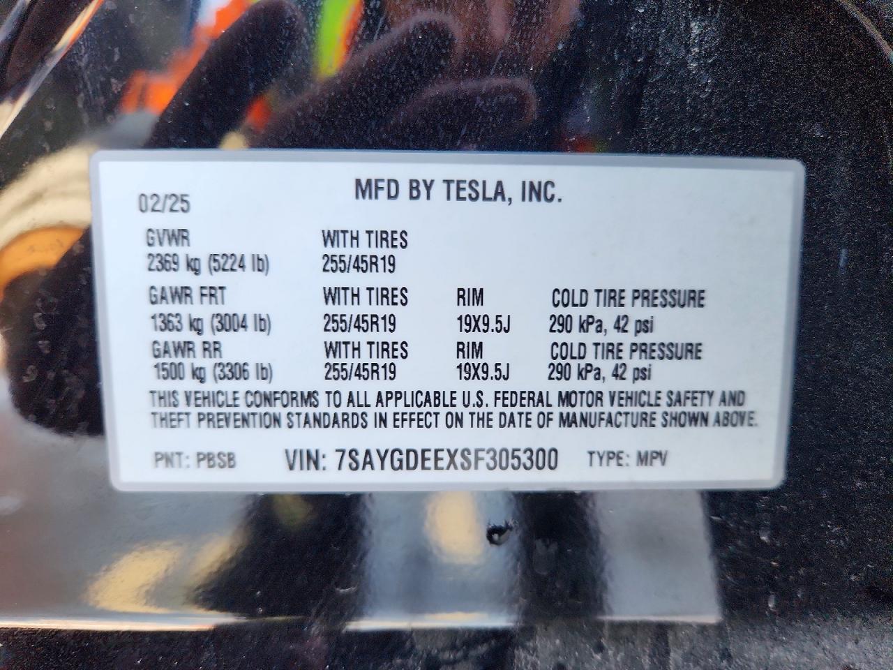 2025 Tesla Model y