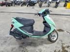 2019 Genuine Scooter Co. Buddy 50
