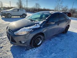 Ford Focus salvage cars for sale: 2013 Ford Focus se