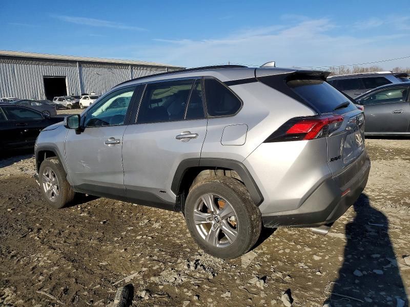2024 Toyota Rav4 xle