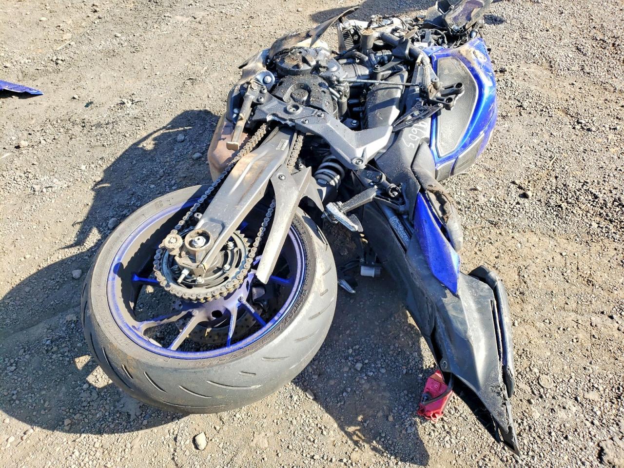 2024 Yama YZFR7