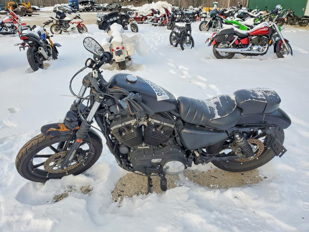 2021 Harley-Davidson Xl883 n
