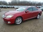 2010 Lexus Es 350 Base