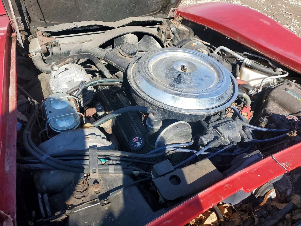 1981 Chevrolet Corvette