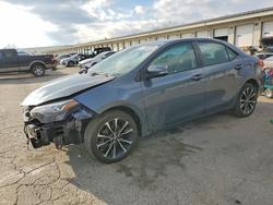 2018 Toyota Corolla l for sale in Louisville, KY
