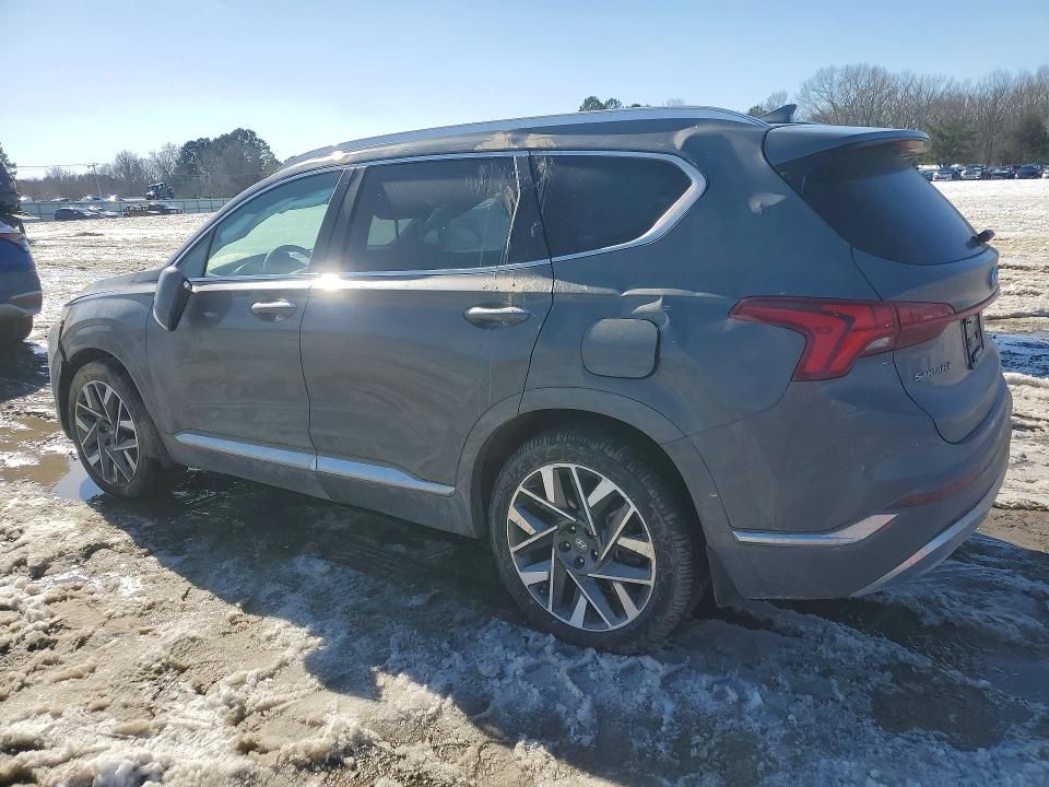 2023 Hyundai Santa fe Calligraphy
