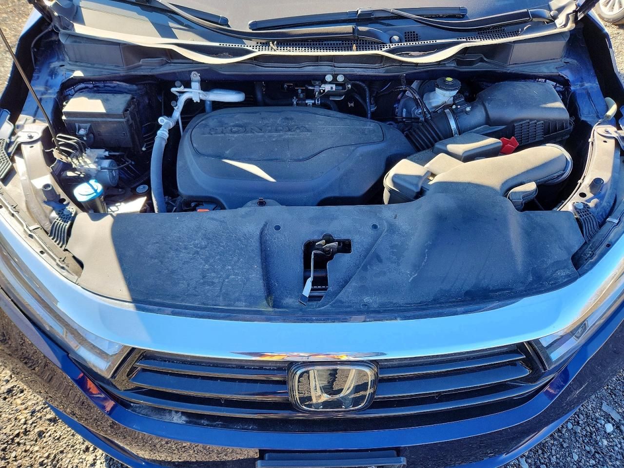 2024 Honda Odyssey exl