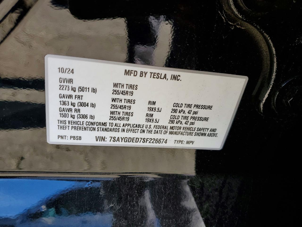2025 Tesla Model y