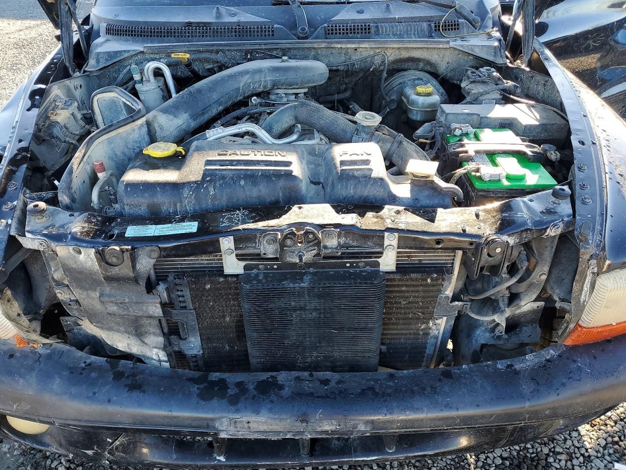 2001 Dodge Dakota Quattro