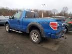 2009 Ford F150