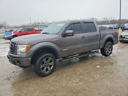 Ford f150 Supercrew salvage cars for sale: 2014 Ford F150 Supercrew