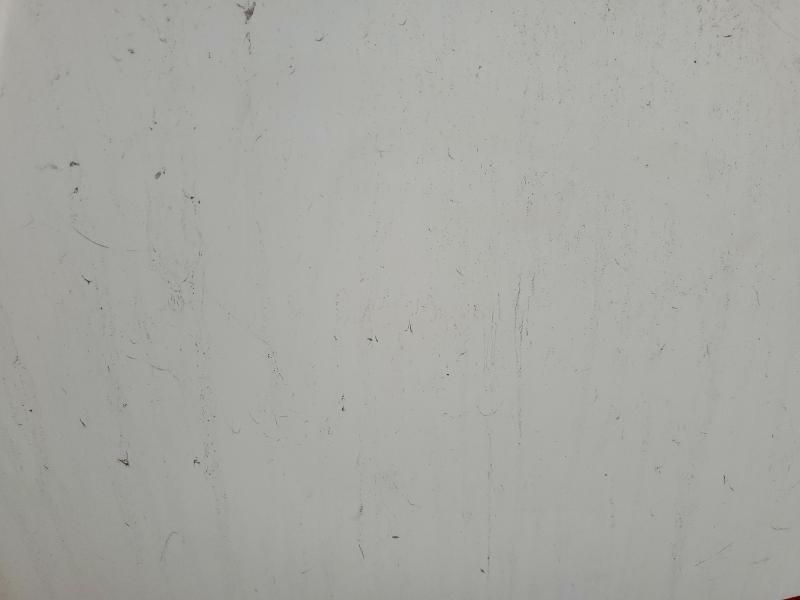 2016 Palomino Travel Trailer