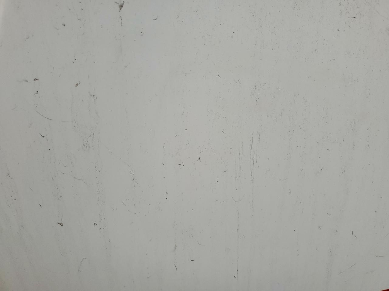 2016 Palomino Travel Trailer