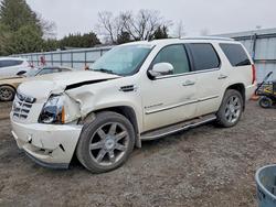 Cadillac Vehiculos salvage en venta: 2008 Cadillac Escalade Luxury