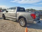 2024 Ford F150 XLT