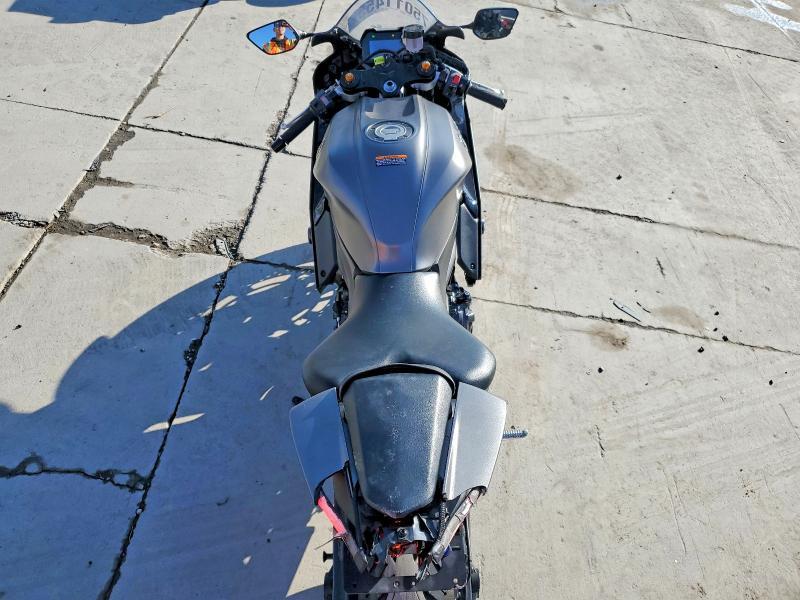 2024 Yama Yzfr7