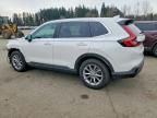 2024 Honda Cr-v exl