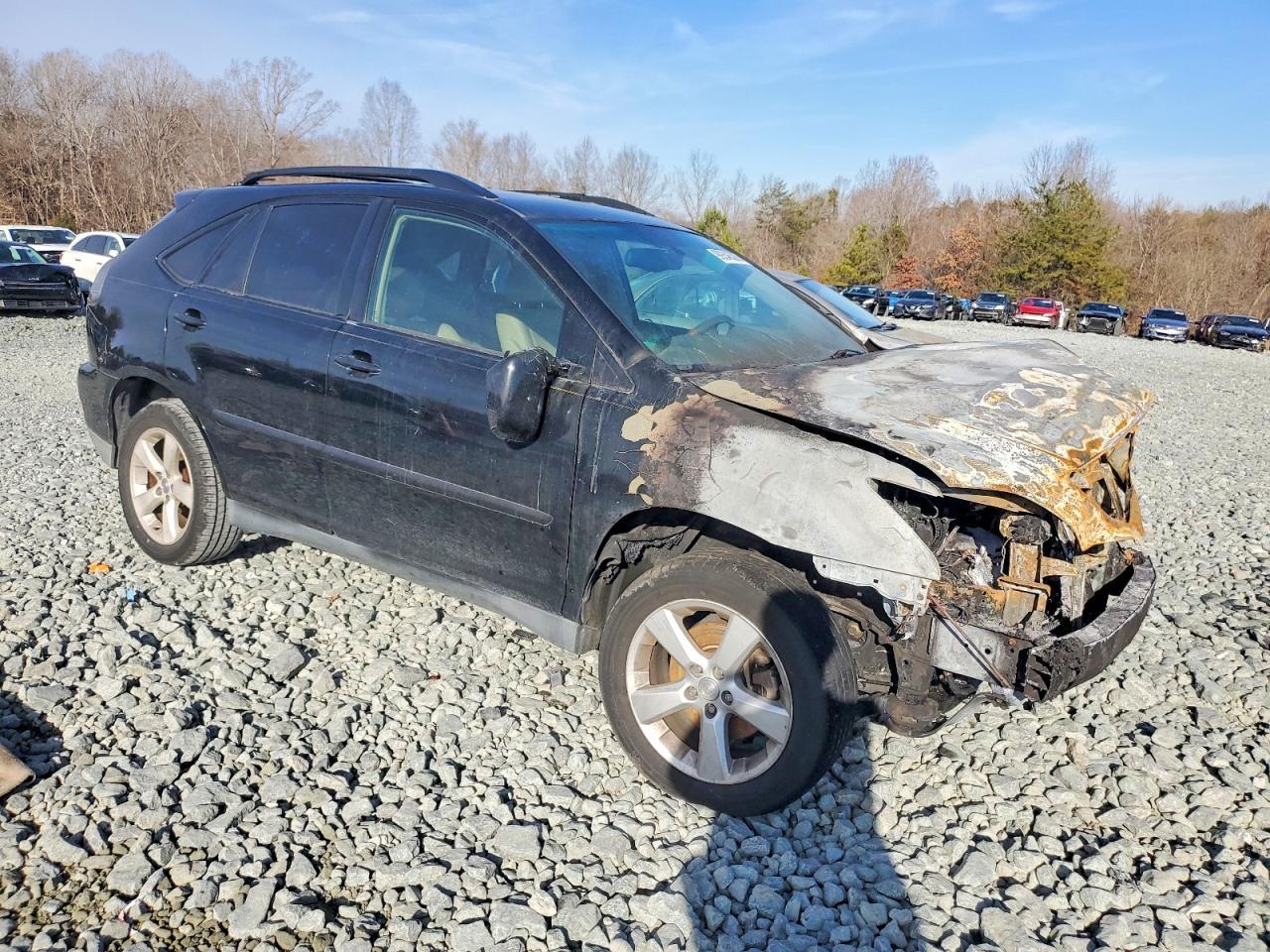 2004 Lexus Rx 330
