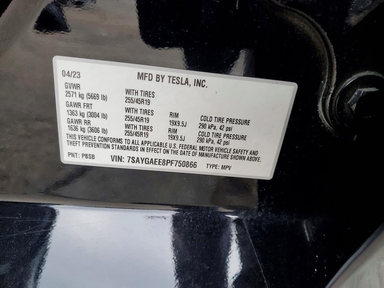 2023 Tesla Model y