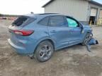 2024 Ford Escape st Line