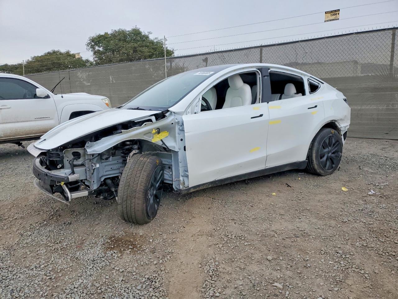 2025 Tesla Model y