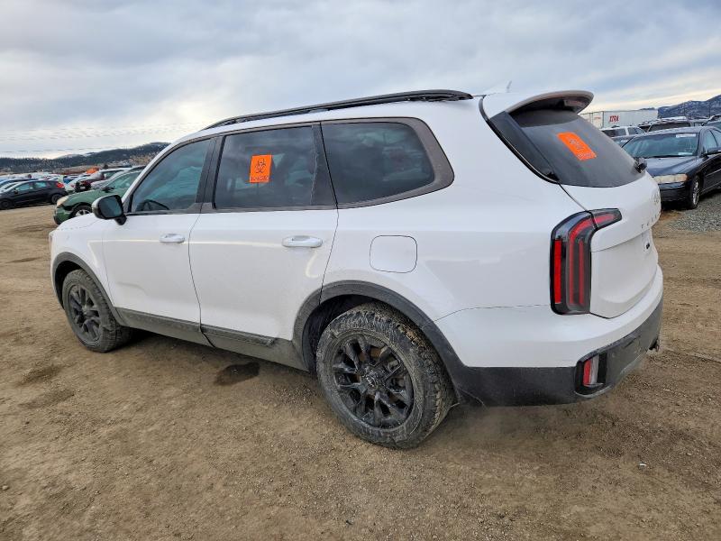 2024 KIA Telluride sx