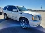 2011 Cadillac Escalade Premium