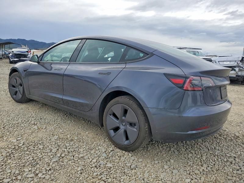 2023 Tesla Model 3