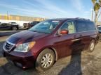 2009 Honda Odyssey exl