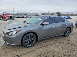 2014 Nissan Maxima s en venta en Louisville, KY