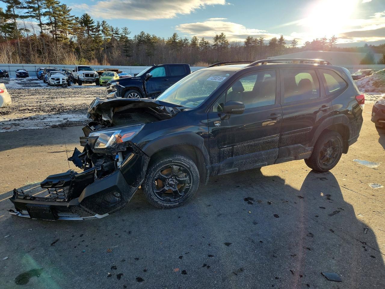 2023 Subaru Forester Wilderness