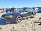 2000 Ford Mustang gt