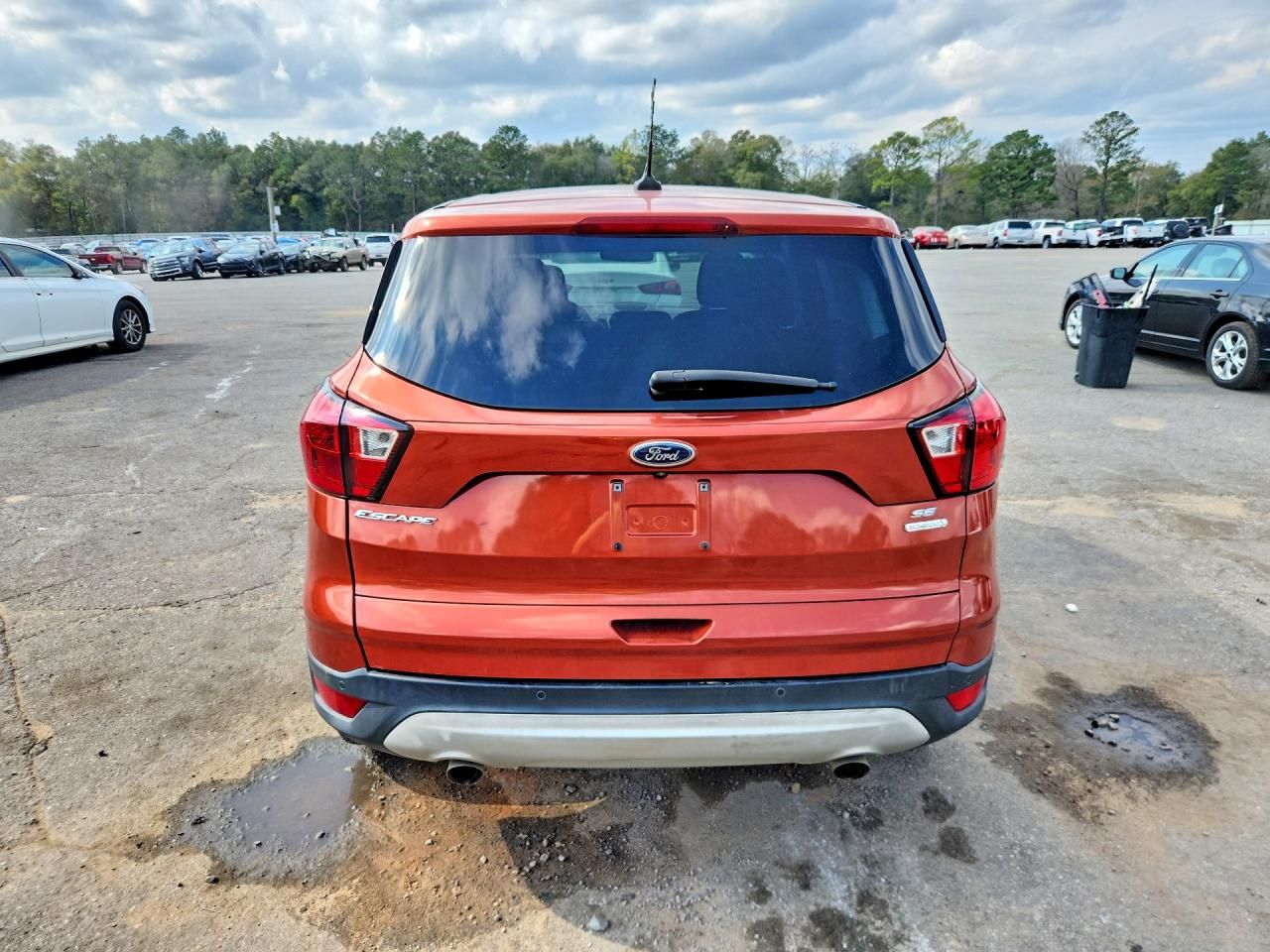2019 Ford Escape se