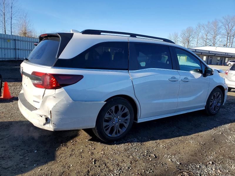 2025 Honda Odyssey Touring