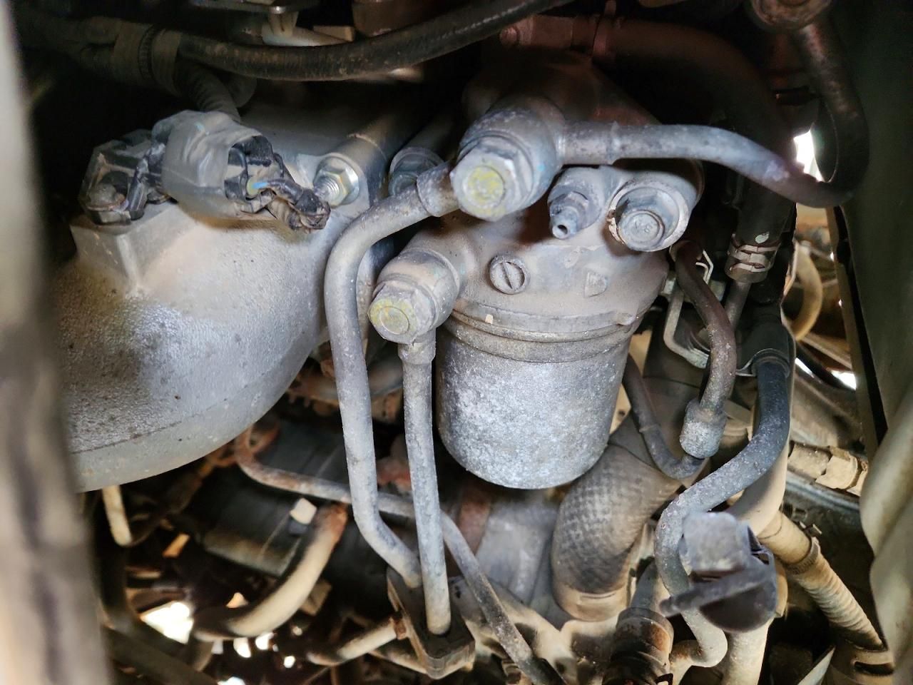 2019 Isuzu NRR BOX Truck