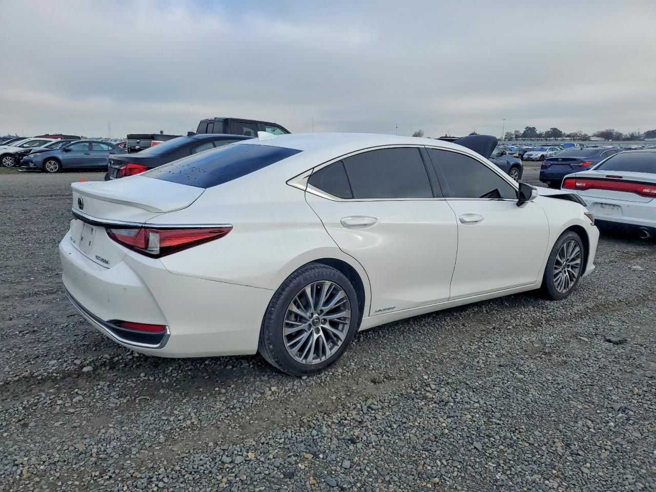 2019 Lexus Es 300h