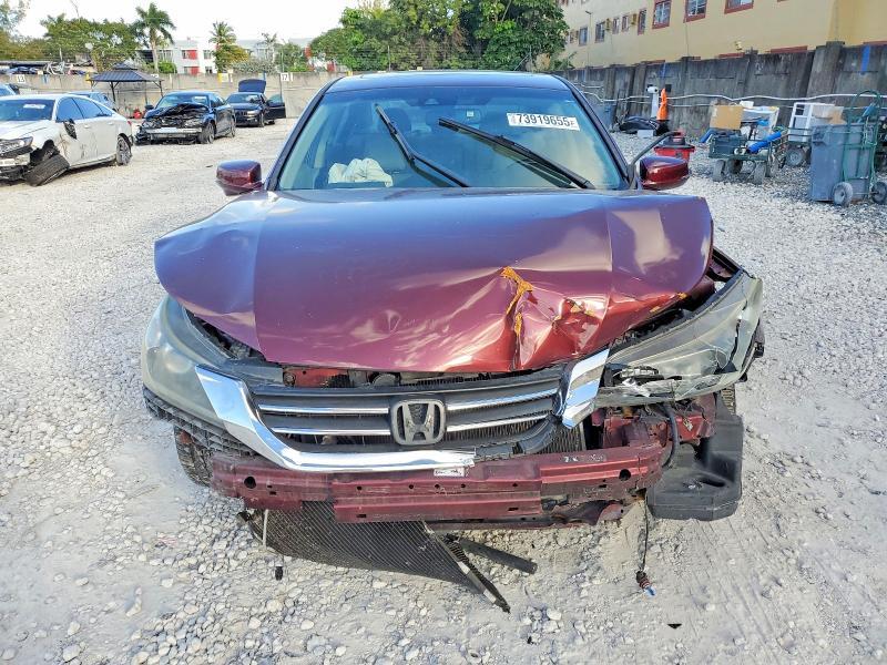 2013 Honda Accord exl