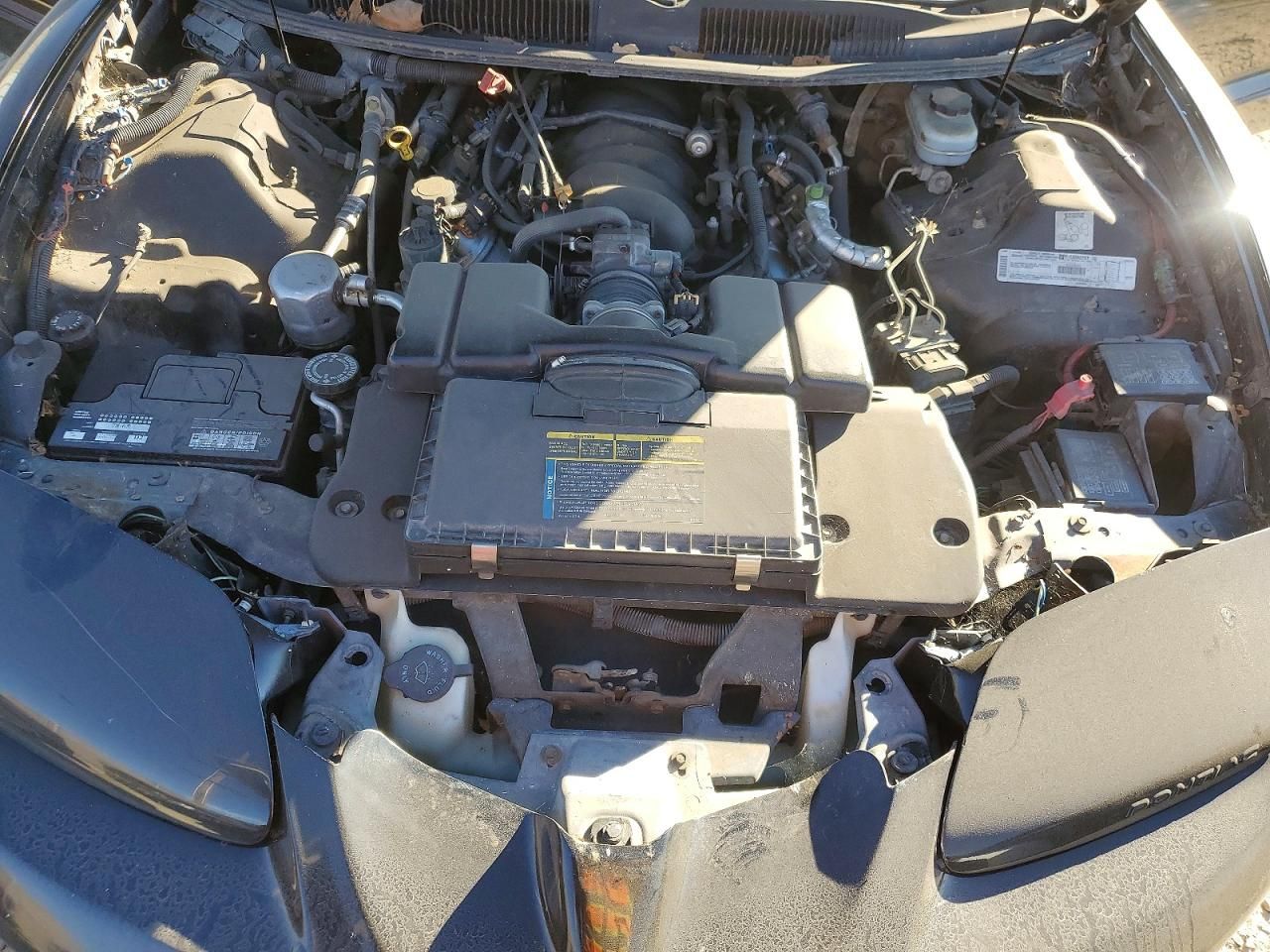 1999 Pontiac Firebird Formula