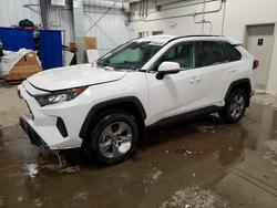 2025 Toyota Rav4 le for sale in Ottawa, ON