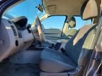 2010 Ford Escape xls