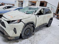 Toyota salvage cars for sale: 2022 Toyota Rav4 xle