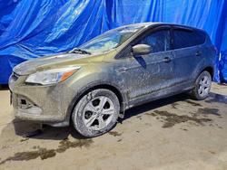 2013 Ford Escape se en venta en Columbia Station, OH