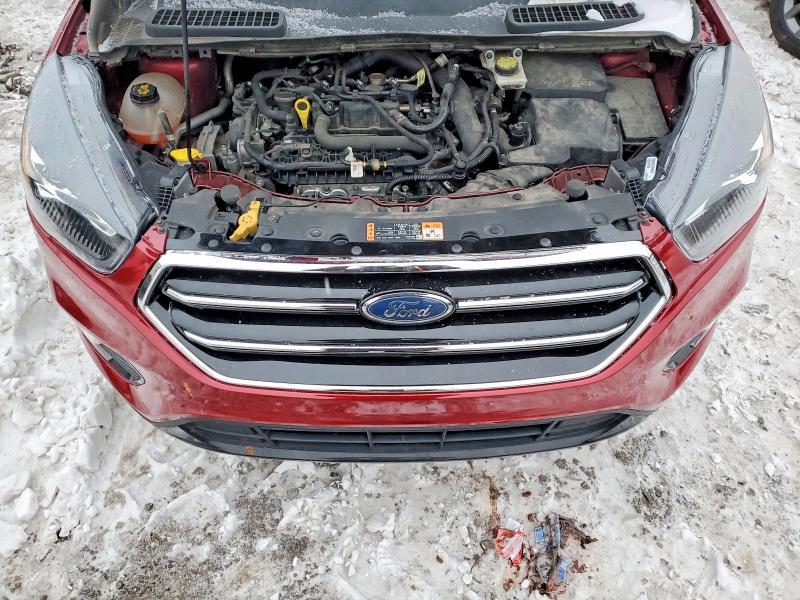 2019 Ford Escape se