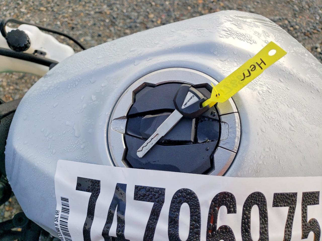 2025 Kawasaki EX500 H