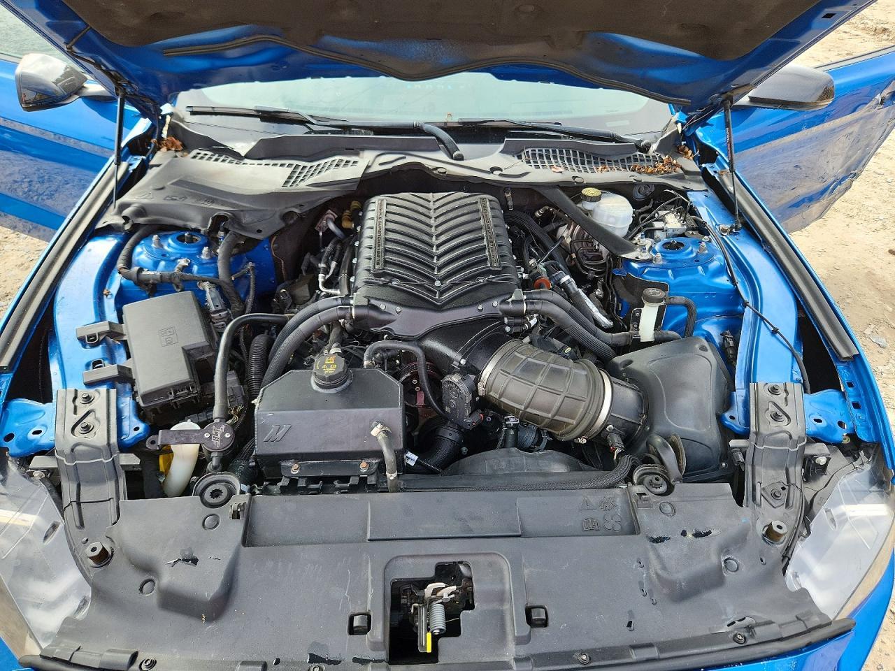 2019 Ford Mustang gt