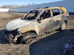 2013 KIA Sorento lx en venta en Waldorf, MD